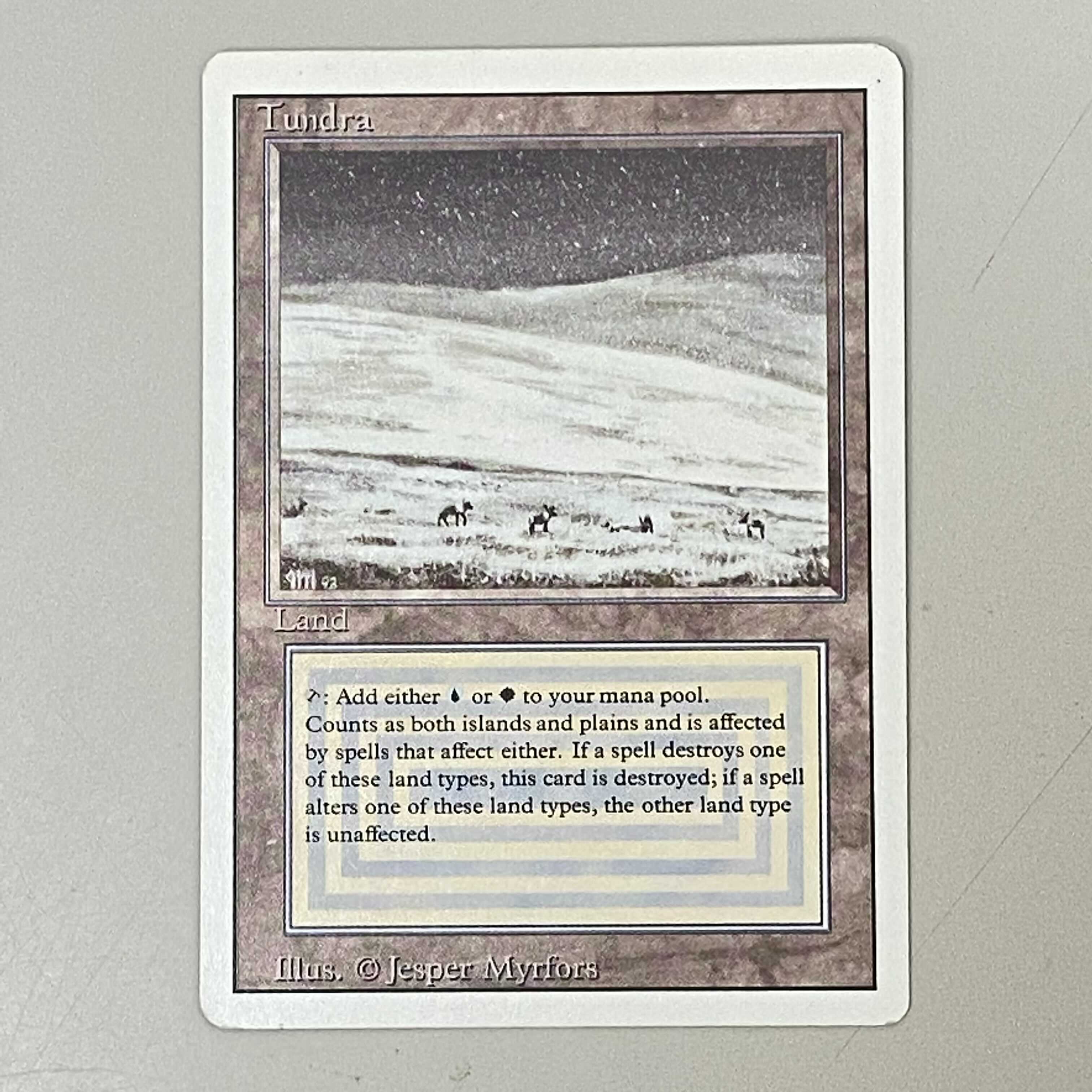 マジック・ザ・ギャザリング Tundra EN