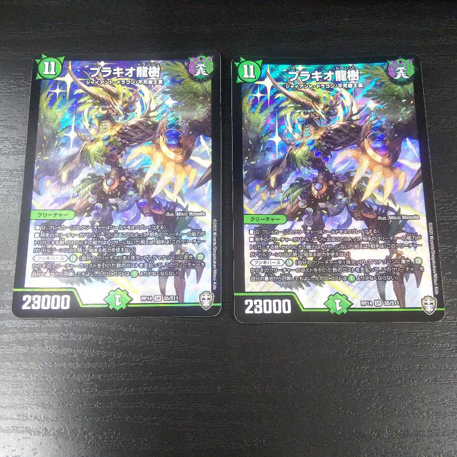 ブラキオ龍樹 2枚