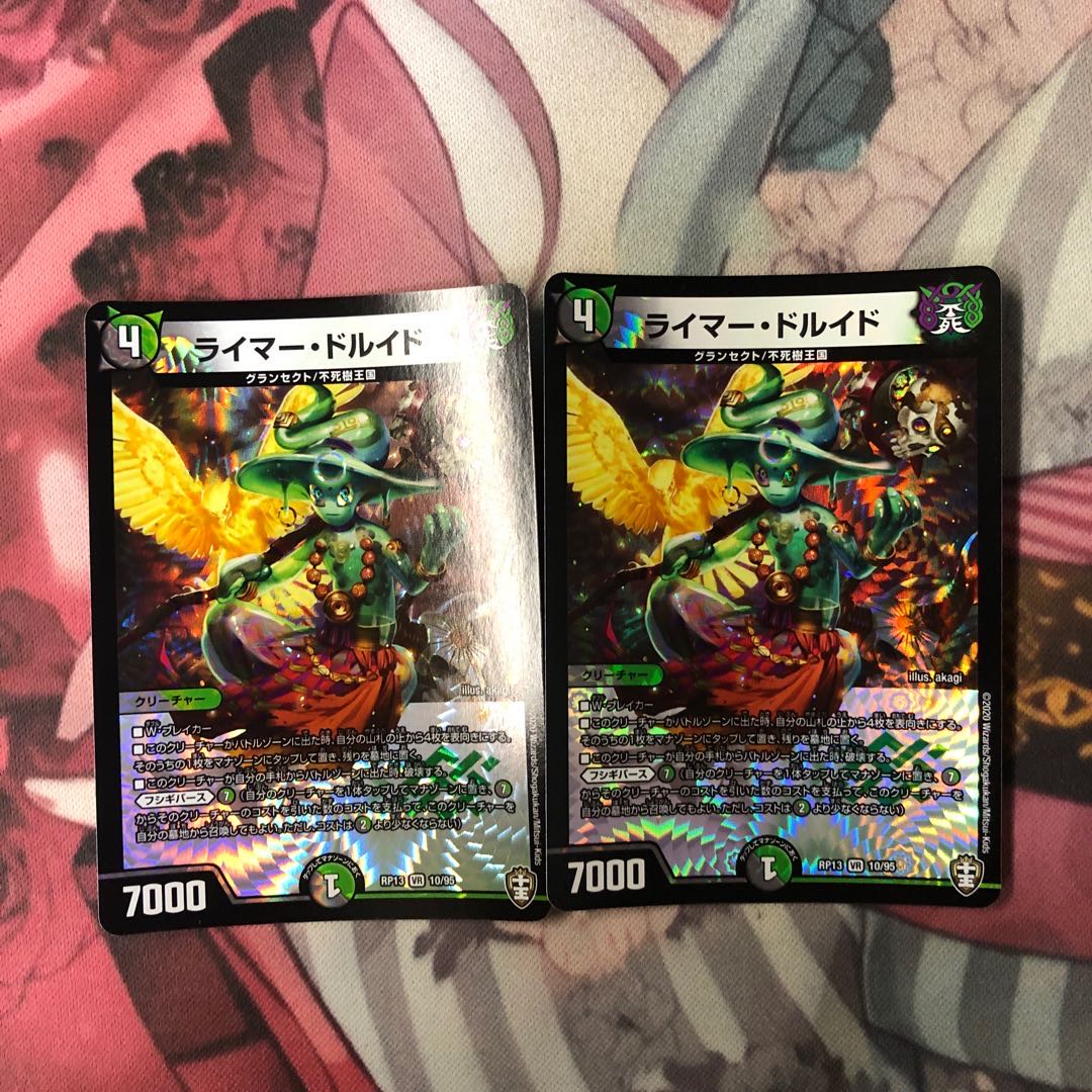 特情報有り　ライマー・ドルイド VR