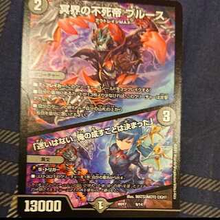 冥界の不死帝 ブルース｜「迷いはない。俺の成すことは決まった」