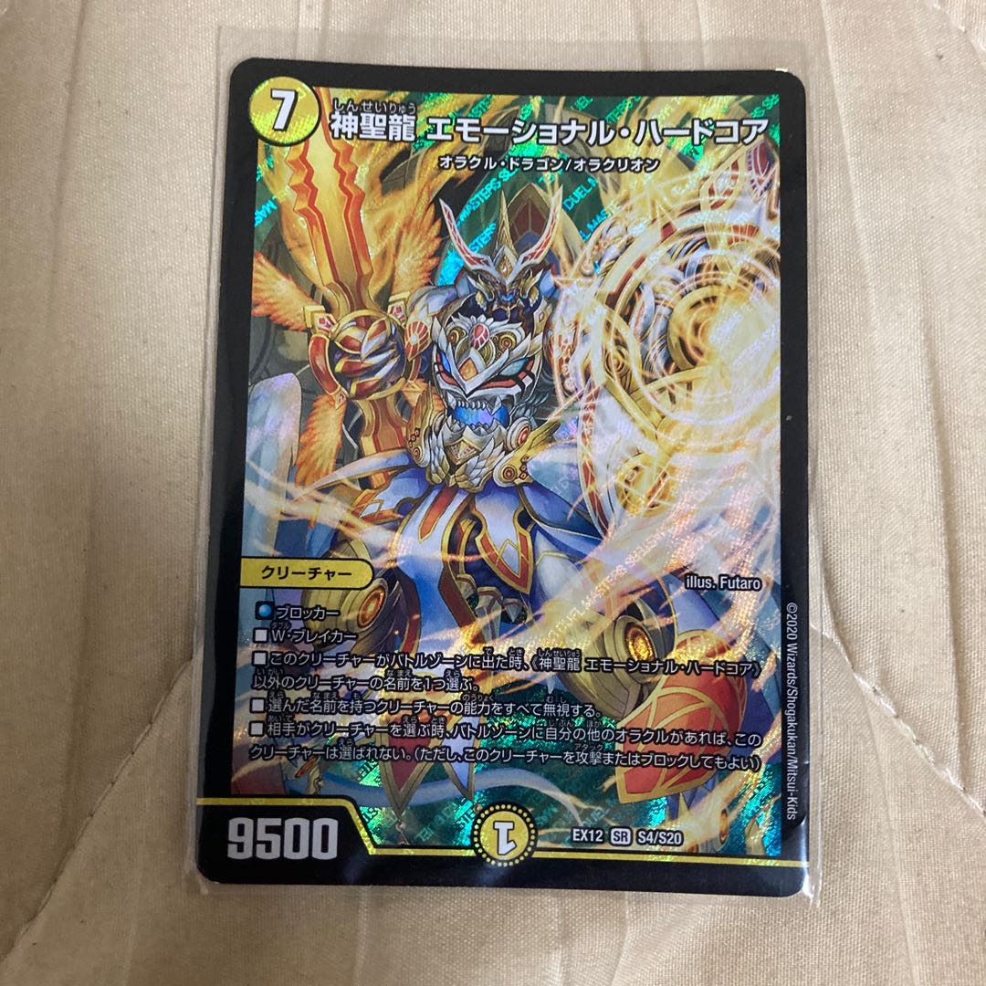 神聖龍 エモーショナル・ハードコア