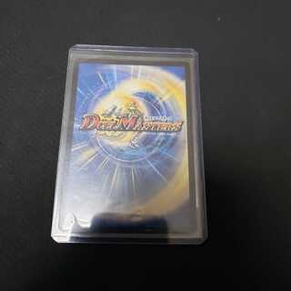 冥界の不死帝 ブルース　俺の成すことは決まった 1枚