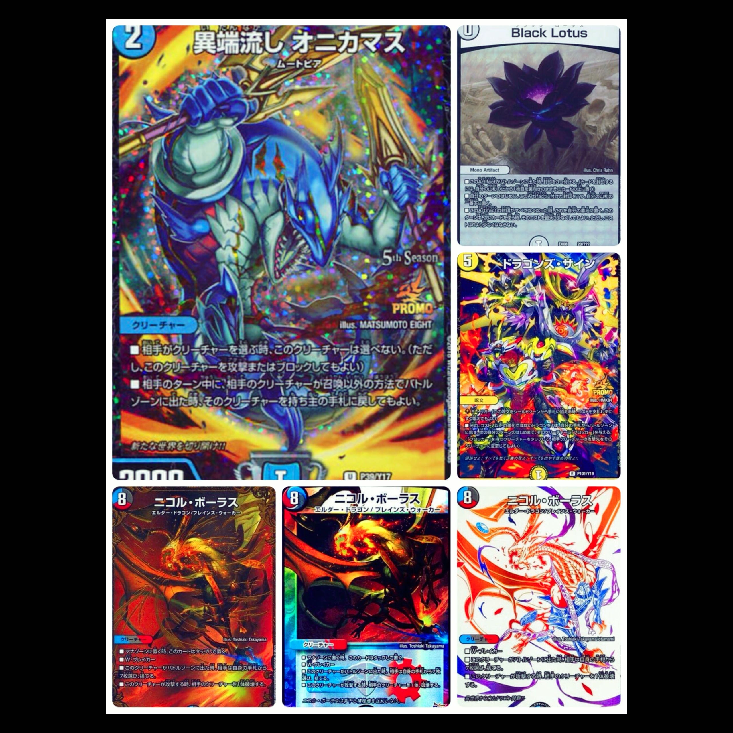 本日限定半額！(100口)フォロワー限定企画！ 1枚