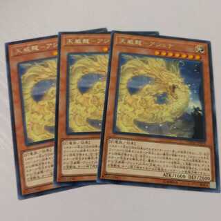 天威龍-アシュナ