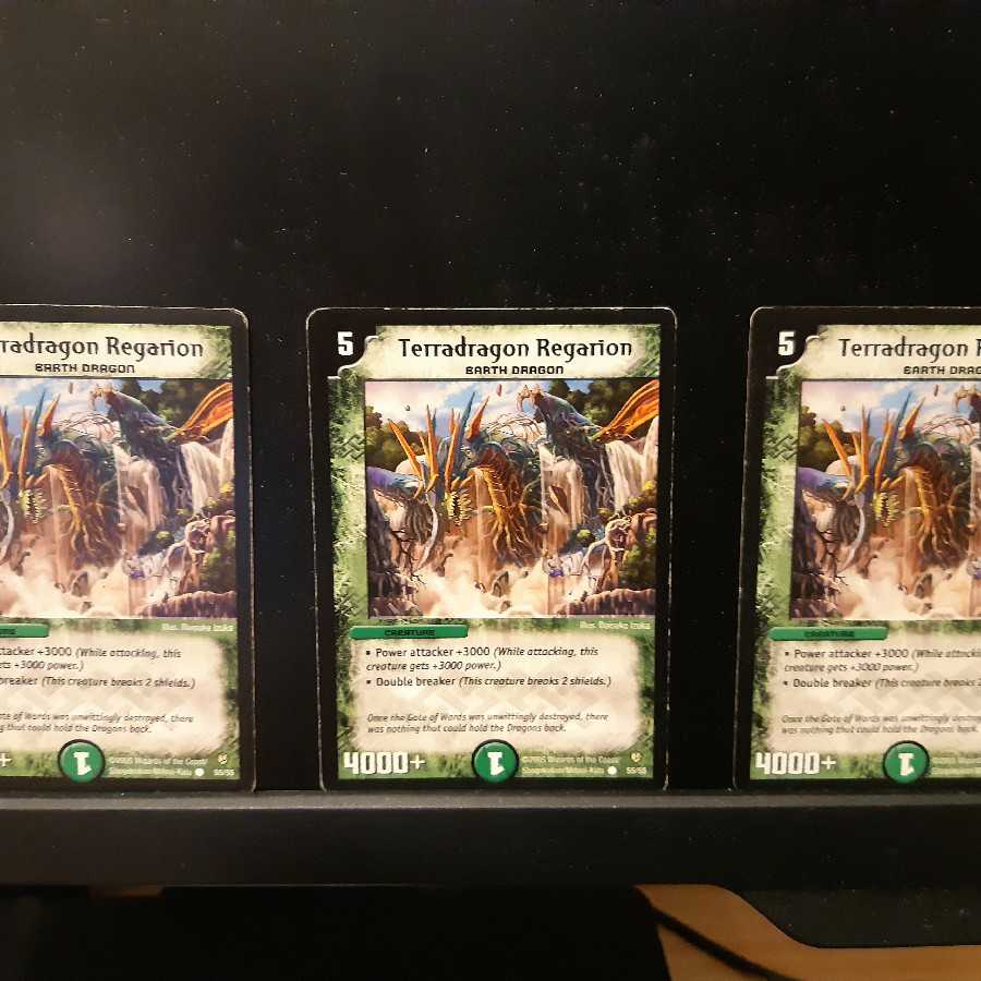 ビーフ様専用 グレガリゴン 3枚