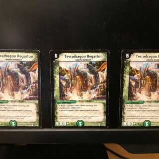 ビーフ様専用　グレガリゴン　3枚