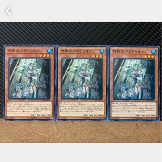 【ぽぽたん】遊戯王 769 神樹のパラディオン 3枚 ノーマル