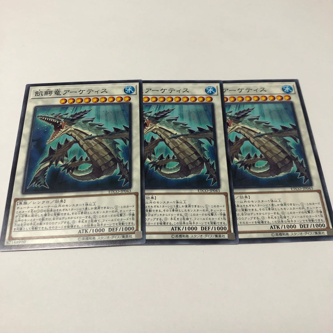 飢鰐竜アーケティス ノーマル