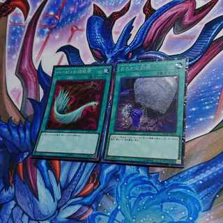 ハーピィの羽根帚 コレクターズレア