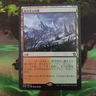 【日本産】樹木茂る山麓/旧枠FOIL/日本語 Amazon.co.jp: MTG オンスロート ONS 日本語版 Foil フォイル
