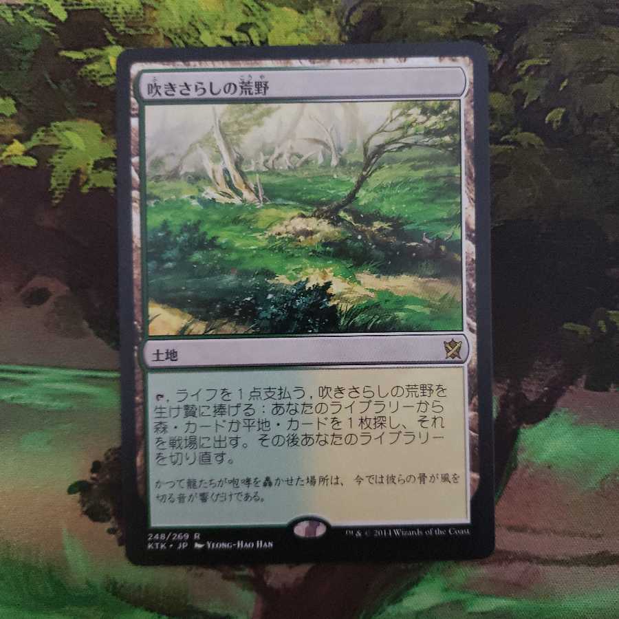 Windswept Heath [Japanese] [KTK].
