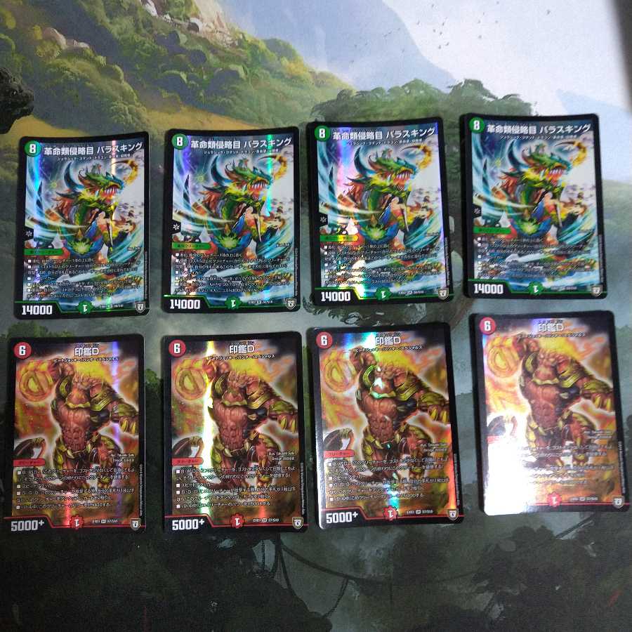 印鑑D パラスキング ③