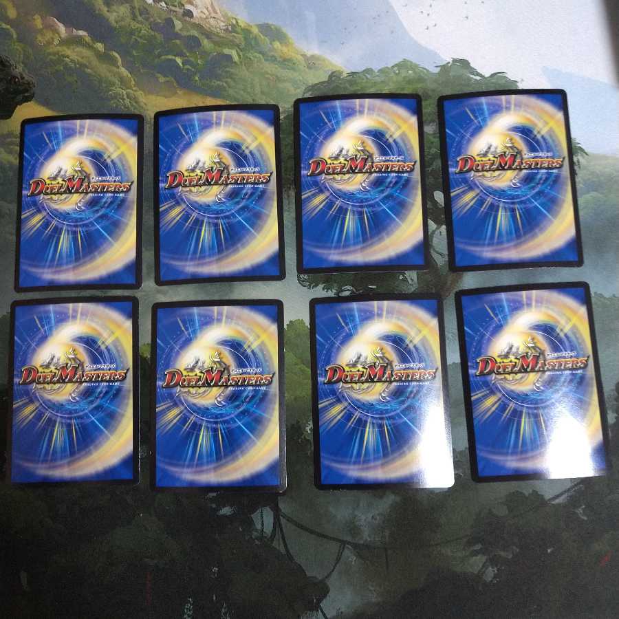 印鑑D パラスキング ③