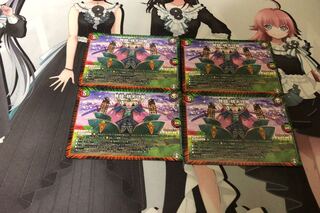 弩闘!桃天守閣4枚セット