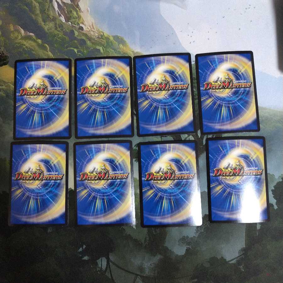 印鑑D パラスキング ④