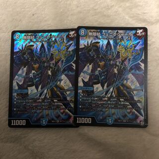 フェニクジャーラ 2枚