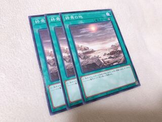 終焉の地 ノーマル　♡おまけ付き♡