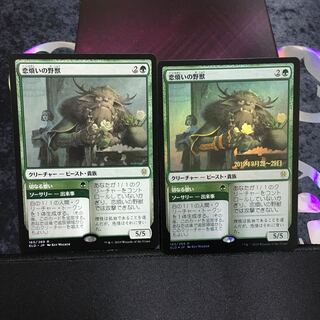 恋煩いの野獣　プレリfoilとノーマルセット