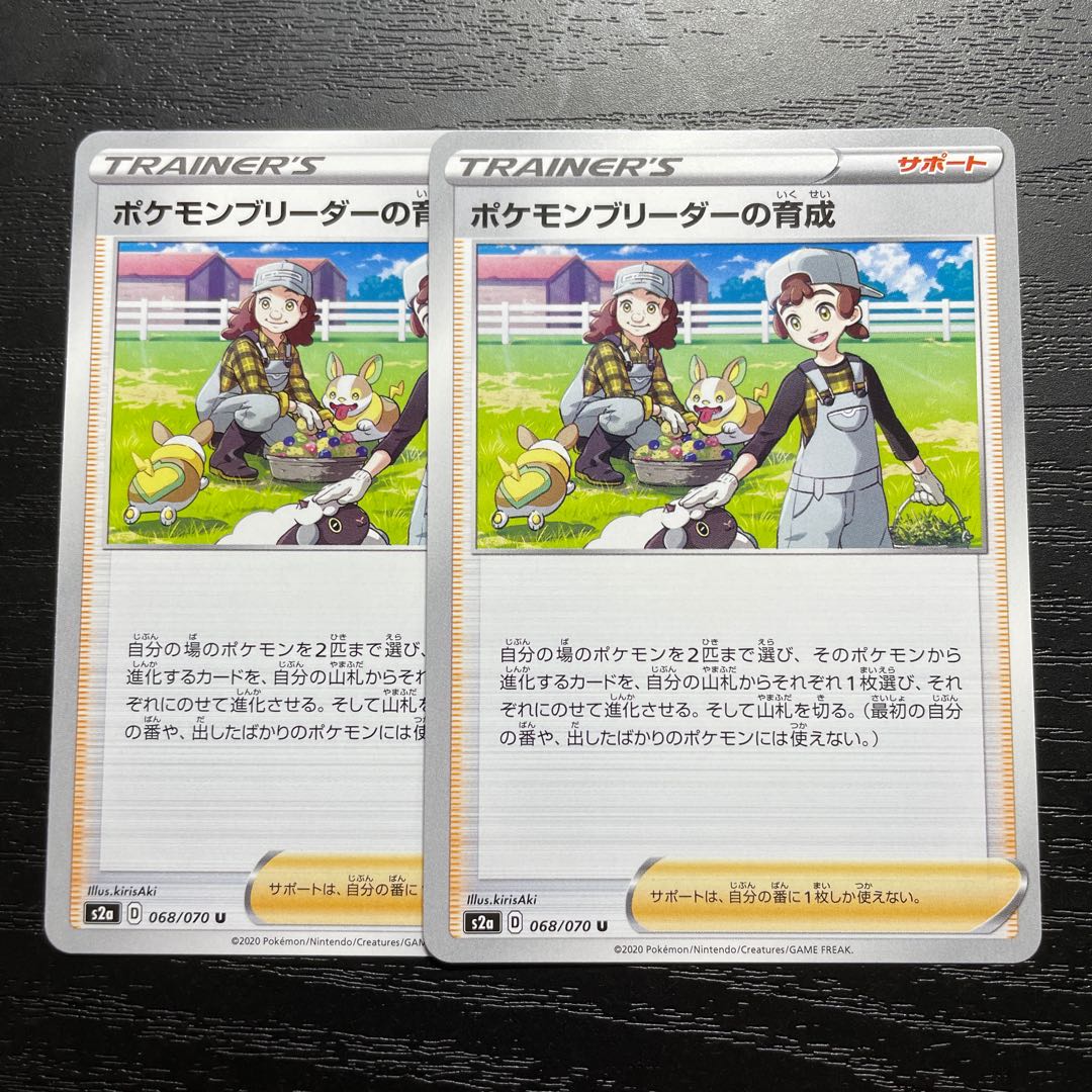 Raising Pokemon Breeder U 2 pieces