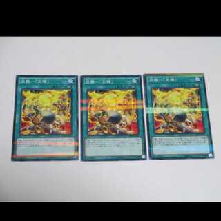遊戯王 炎舞天キ ノーパラ 3枚セット てんき