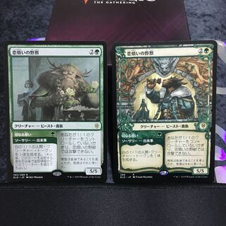 恋煩いの野獣　ショーケースとノーマルセット