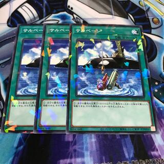 Salvage Parallel Normal Hulu 455