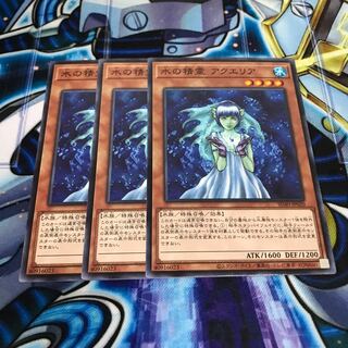 水の精霊 アクエリア ノーマル　Hulu 457