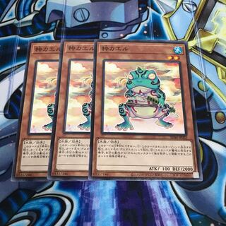 粋カエル ノーマル　Hulu 459