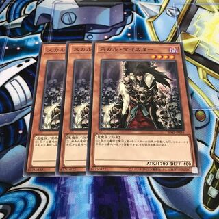 スカル・マイスター ノーマル　Hulu 491