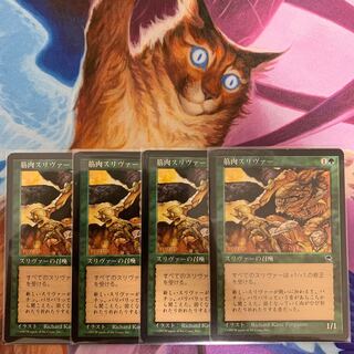 筋肉スリヴァー 日本語 4枚 4枚