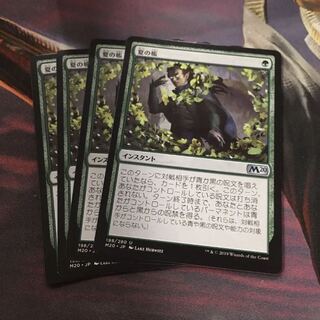 夏の帳　4枚 4枚