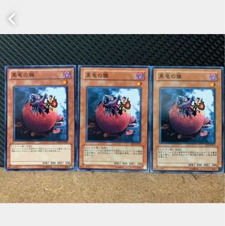 【ぽぽたん】遊戯王 641 黒竜の雛 3枚 ノーマル