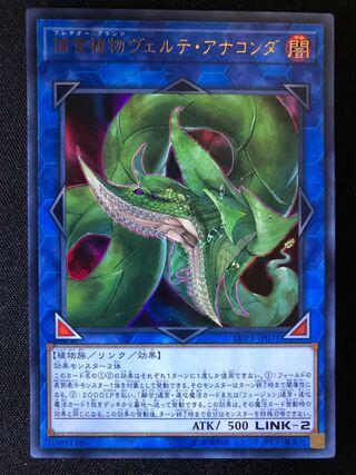 （専用）捕食植物ヴェルテ・アナコンダ　UR