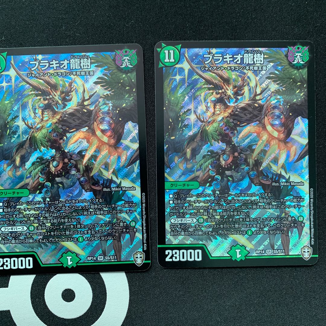 ブラキオ龍樹　2枚