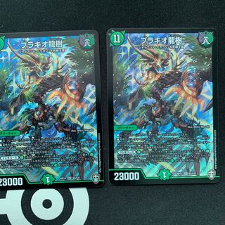 ブラキオ龍樹　2枚