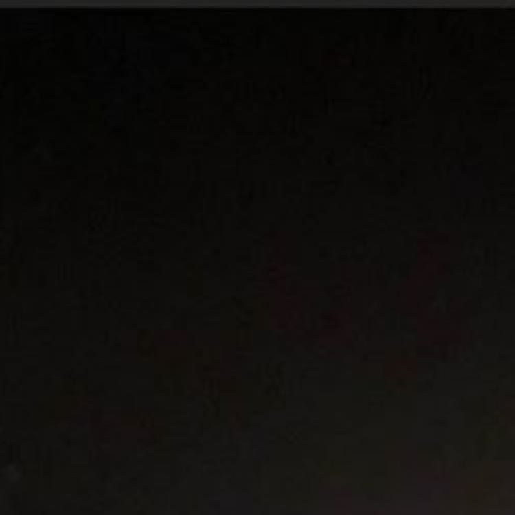 サブカルチャー様専用