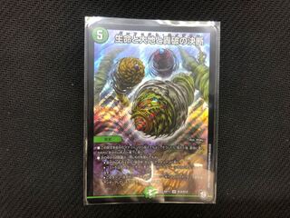 デュエマ 生命と大地と轟破の決断