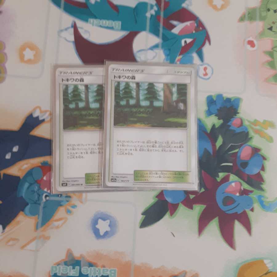 トキワの森2枚セット