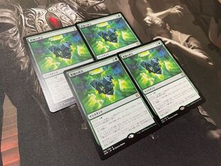 豊穣の碑文　日本語　4枚セット