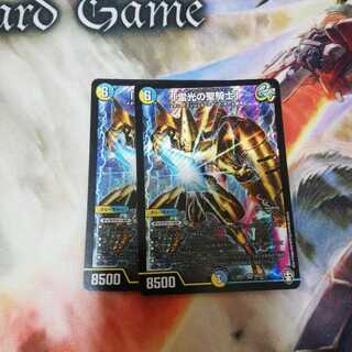 「雷光の聖騎士」