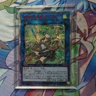 蒼翠の風霊使いウィン 20thシークレット