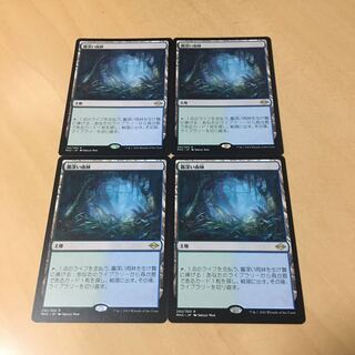 霧深い雨林　日4枚セット　MH2