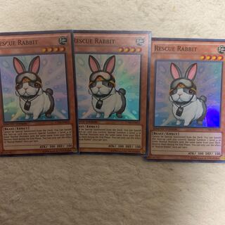 レスキューラビット　米版