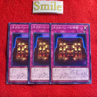 ネクロバレーの神殿#2019