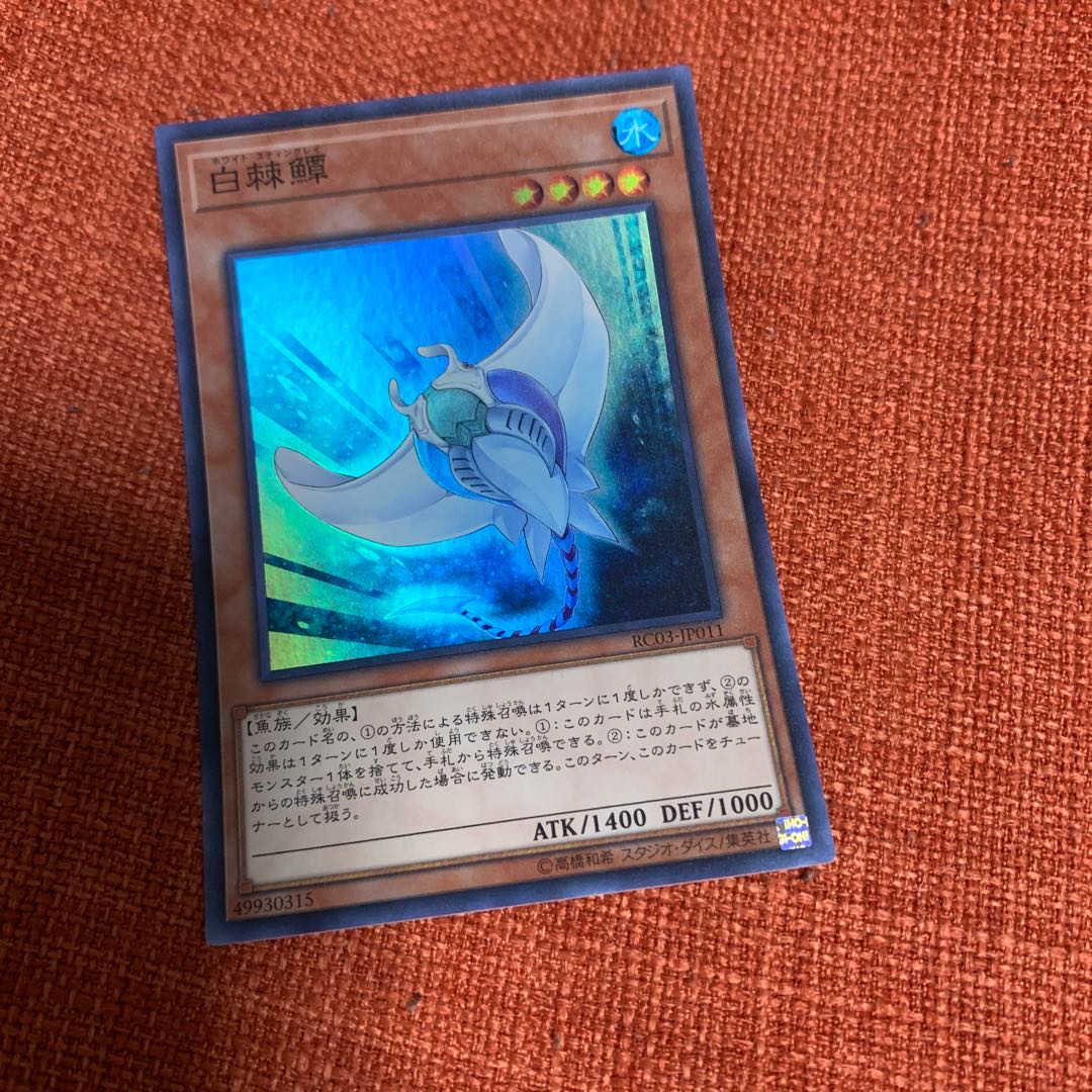 白棘鱏　スーパー