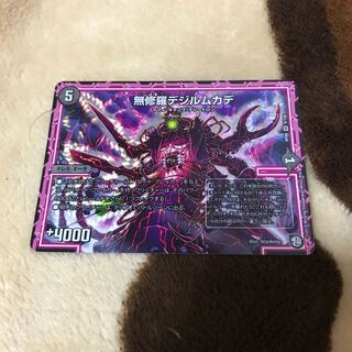 無修羅デジルムカデ