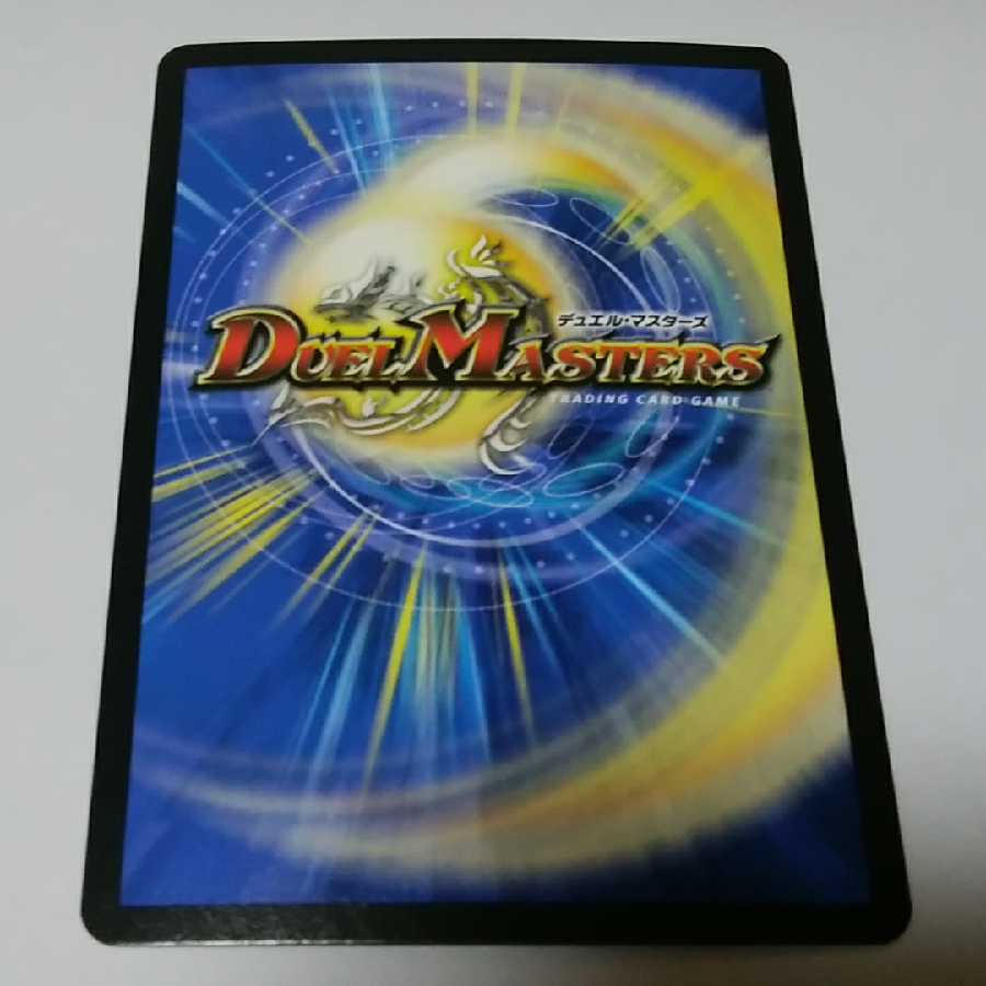 専用(デジルムカデ)