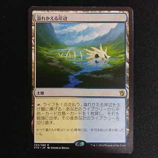 溢れかえる岸辺 [KTK] 日本語 MP 1枚