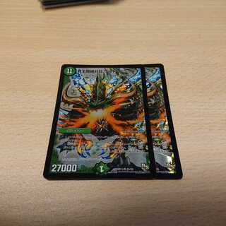 界王類絶対目 ワルド・ブラッキオ 2枚