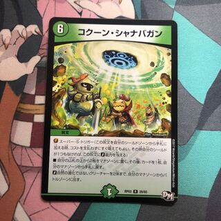 専用　コクーン・シャナバガン